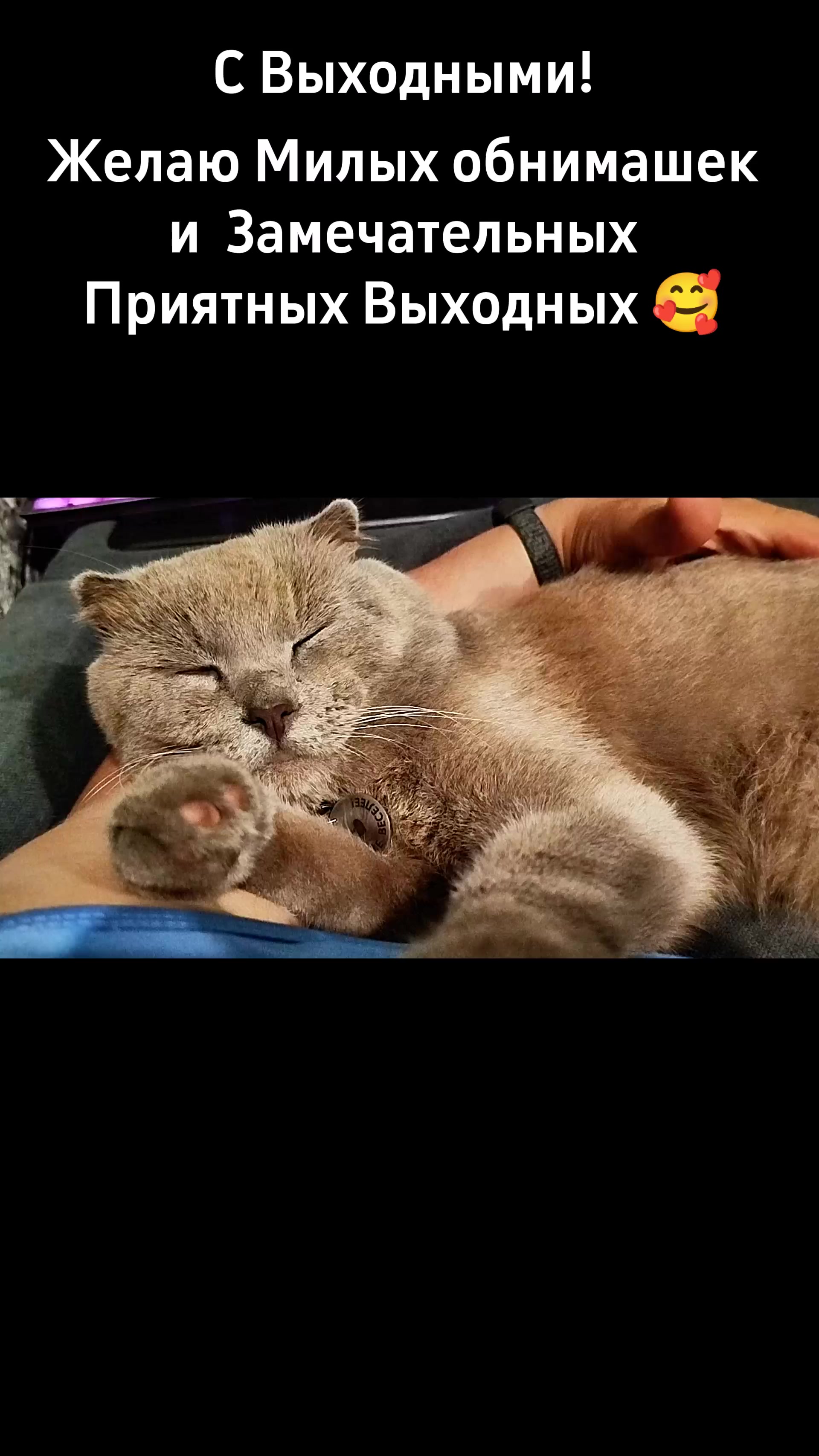 @🐈Масик&Андрей🥰