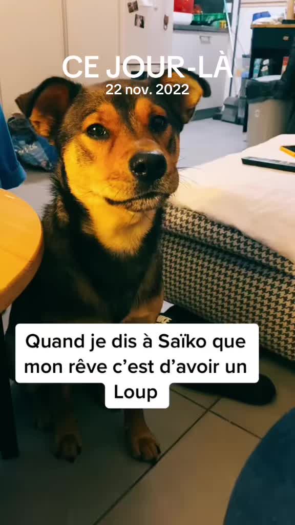 @Sa&iuml;ko_dreyoh