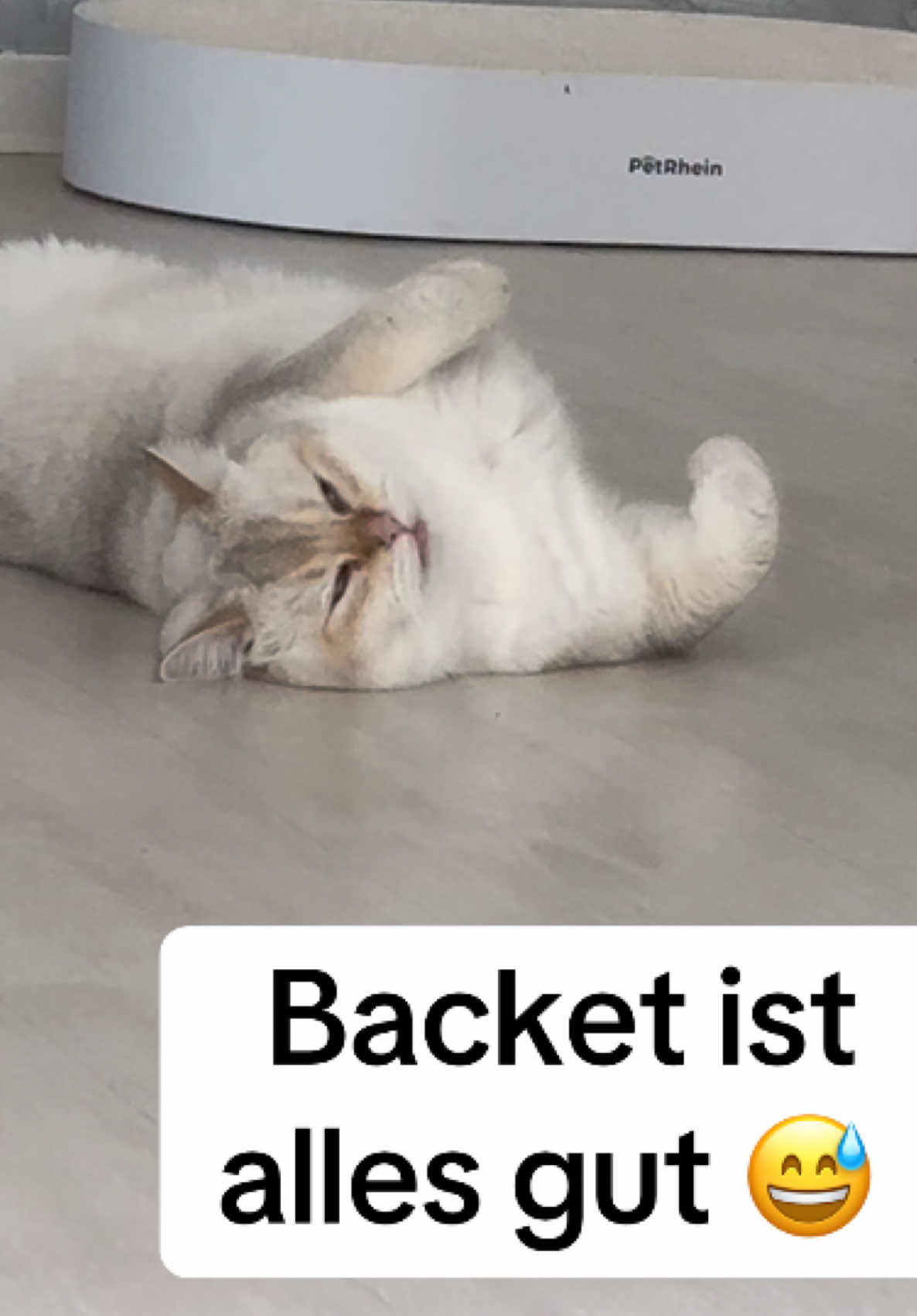 @Backet&Cosmo