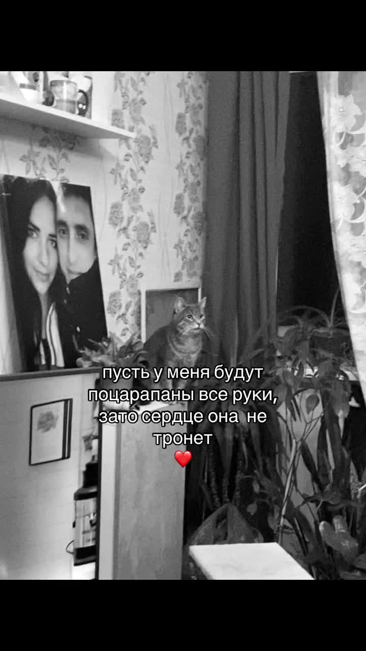 @an.nww🪽