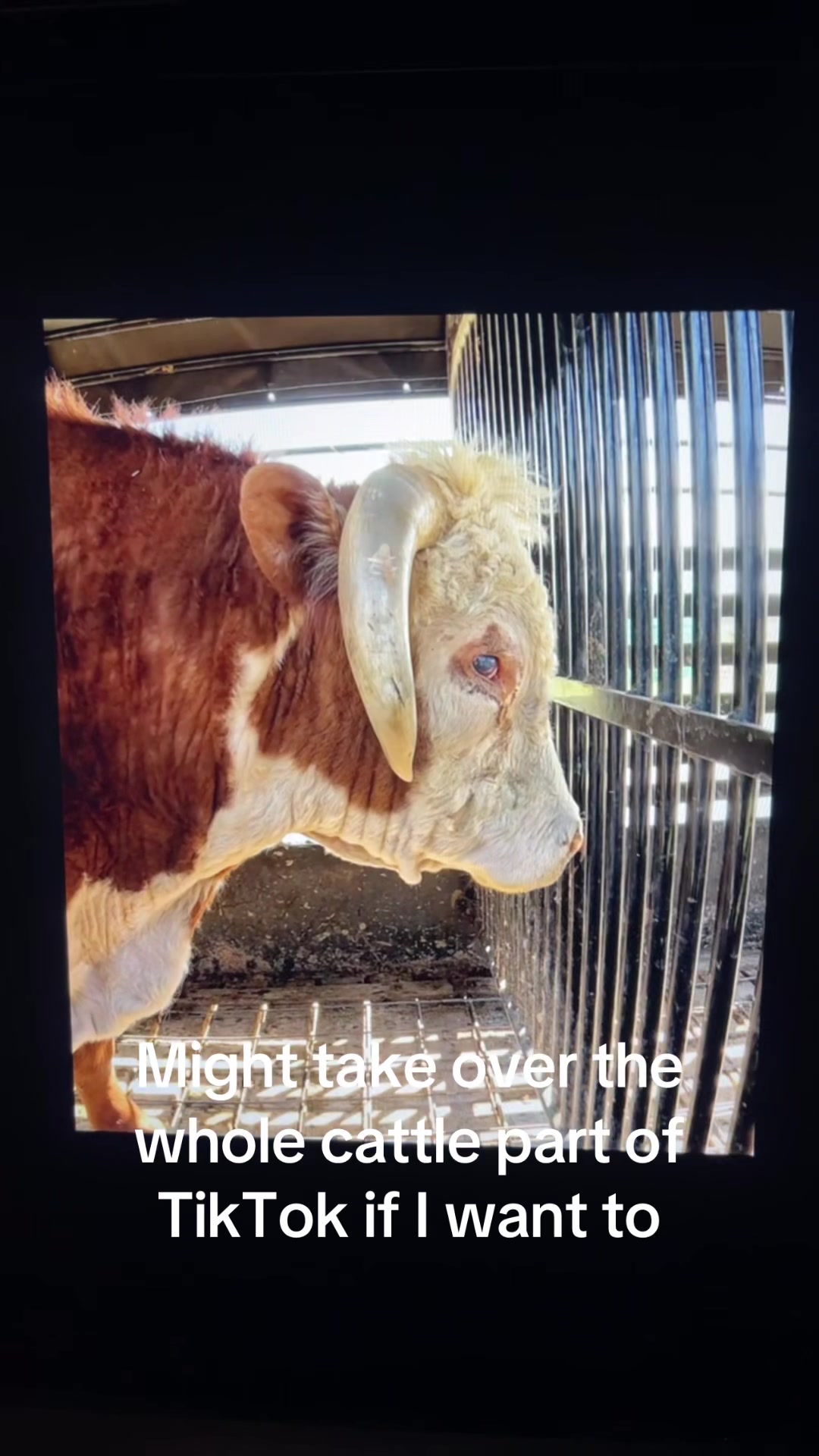 @The Farm Guy