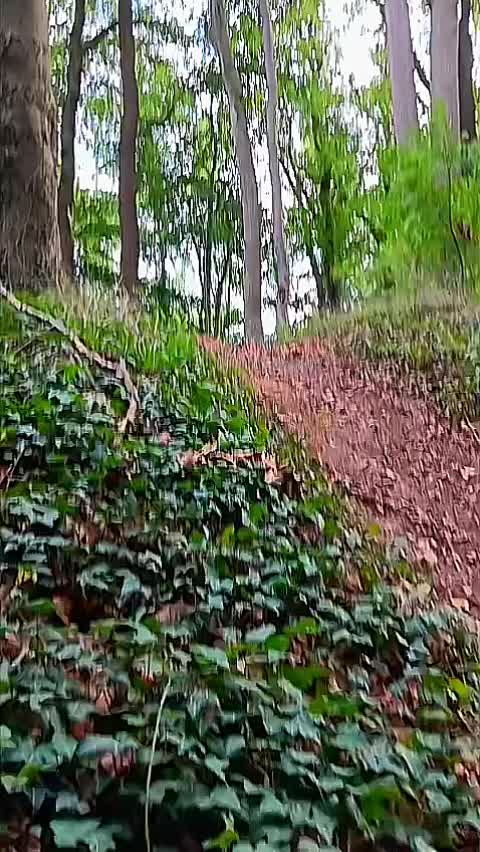 @Justin_SX