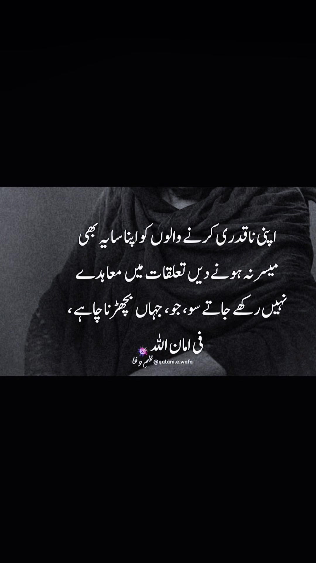 @Kash🌹