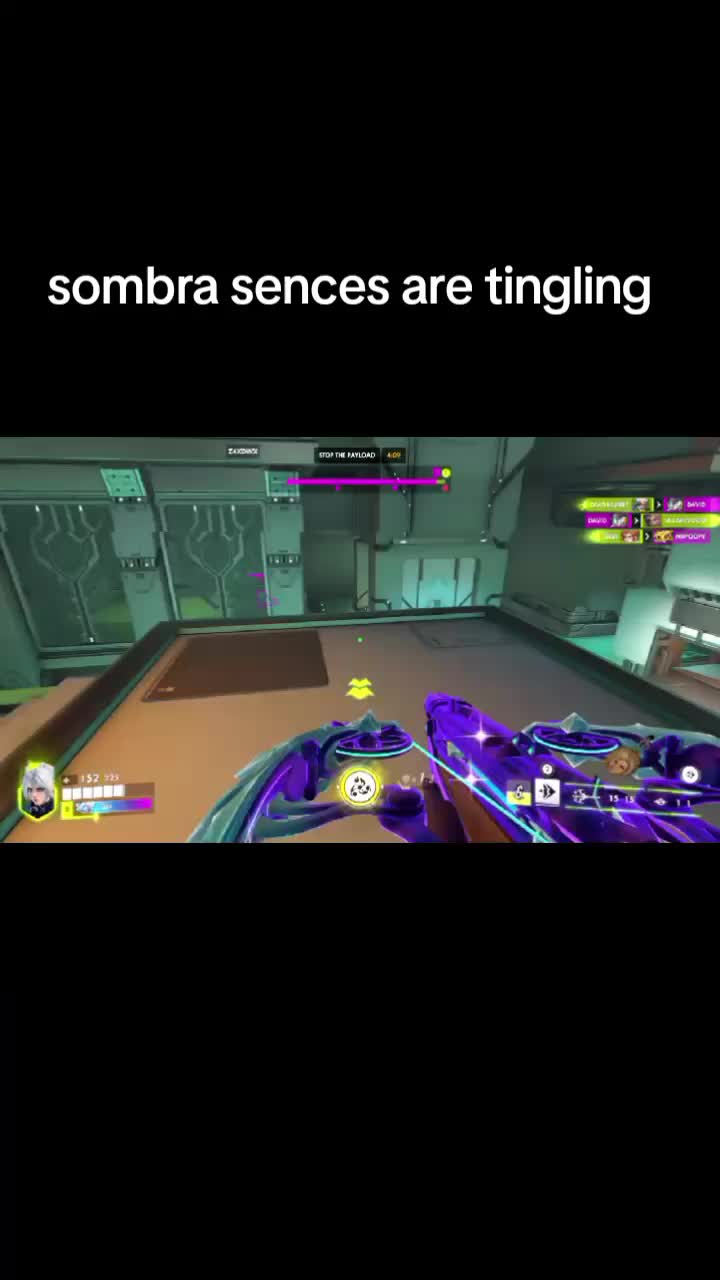 @lia
