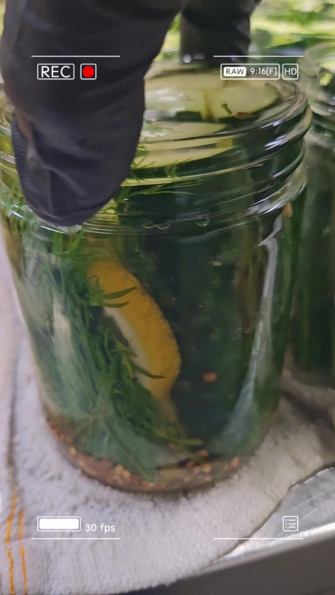 @CompletelyPickled