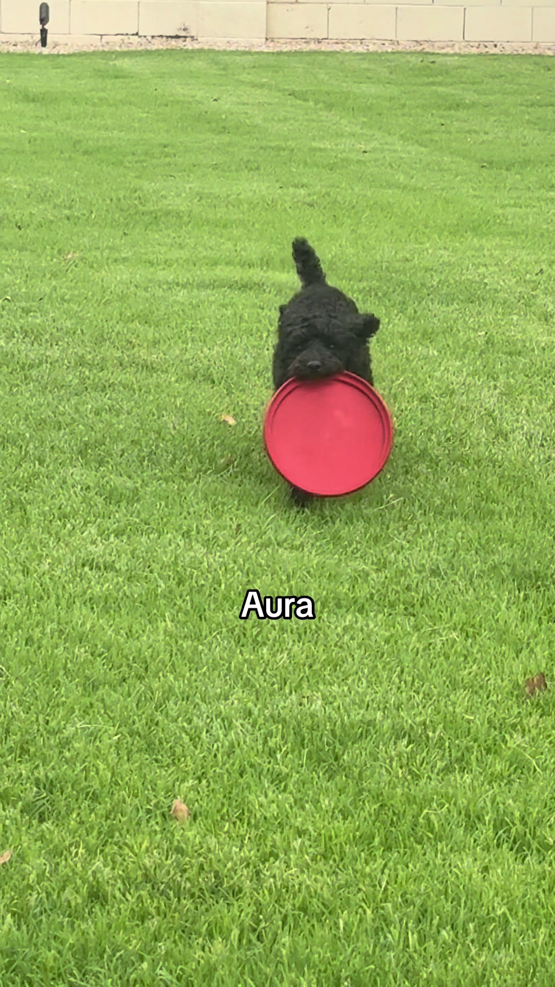@cozypouch