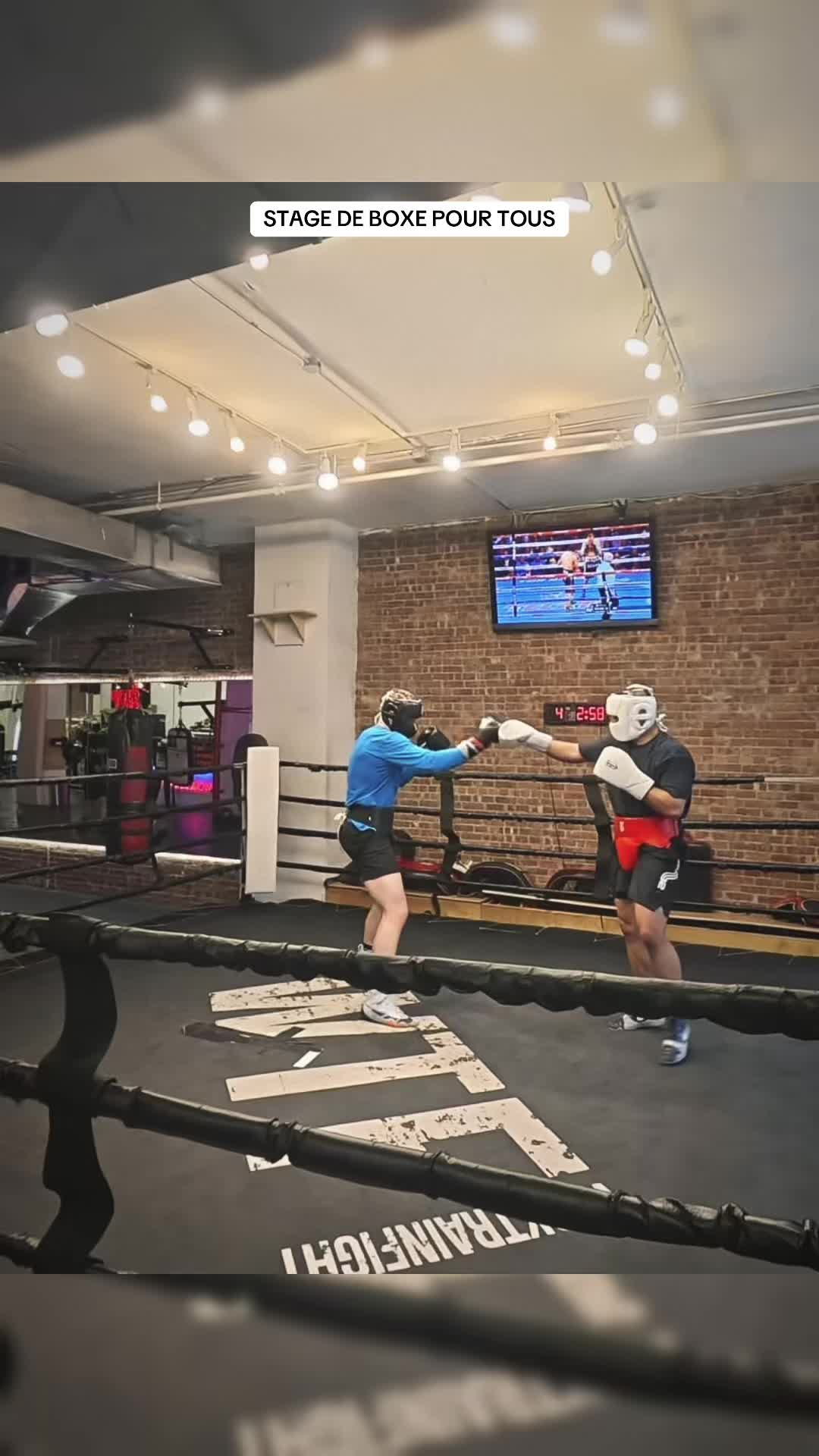 @boxingculture.us
