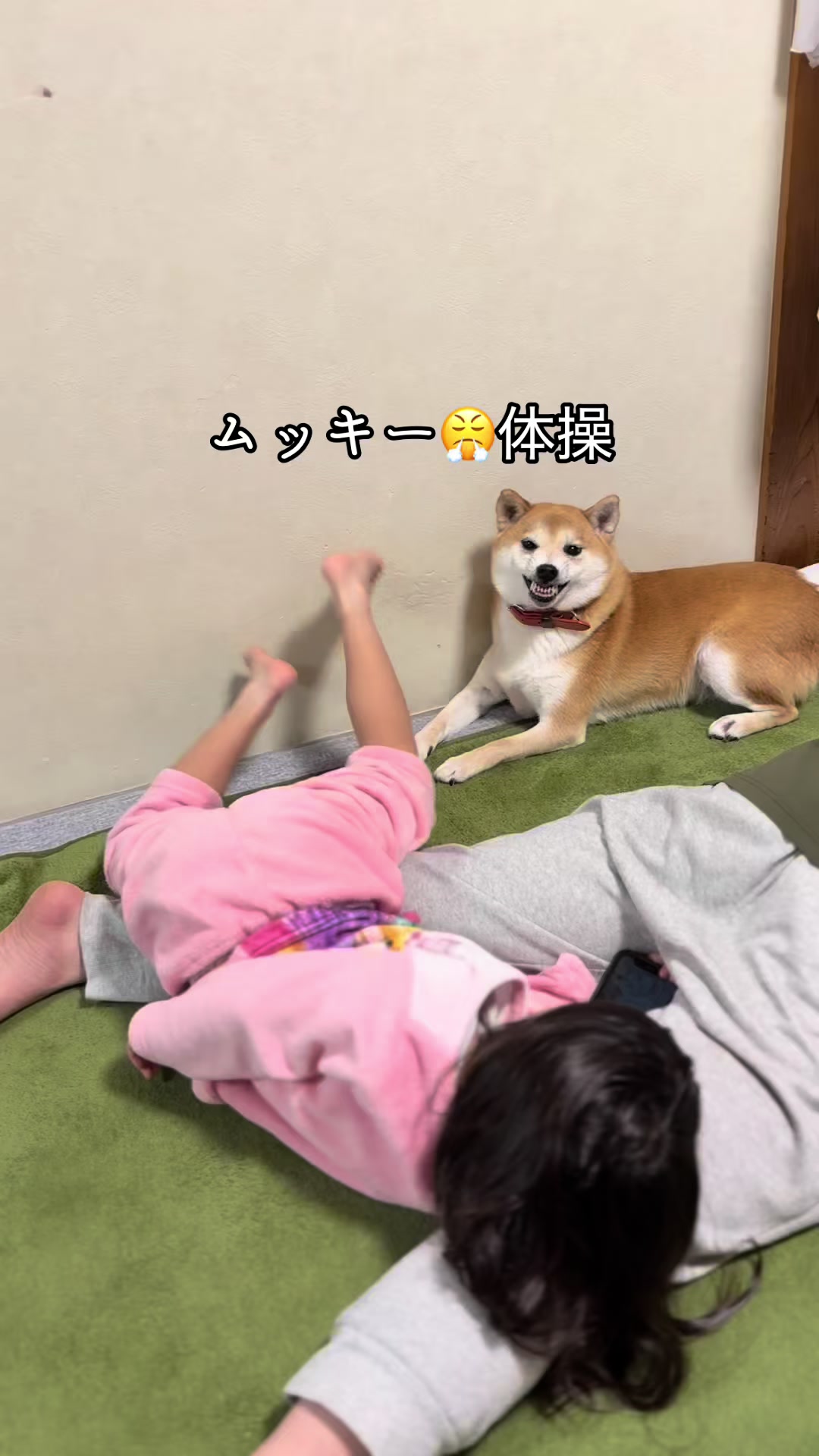 @nana0209 🪽🥴