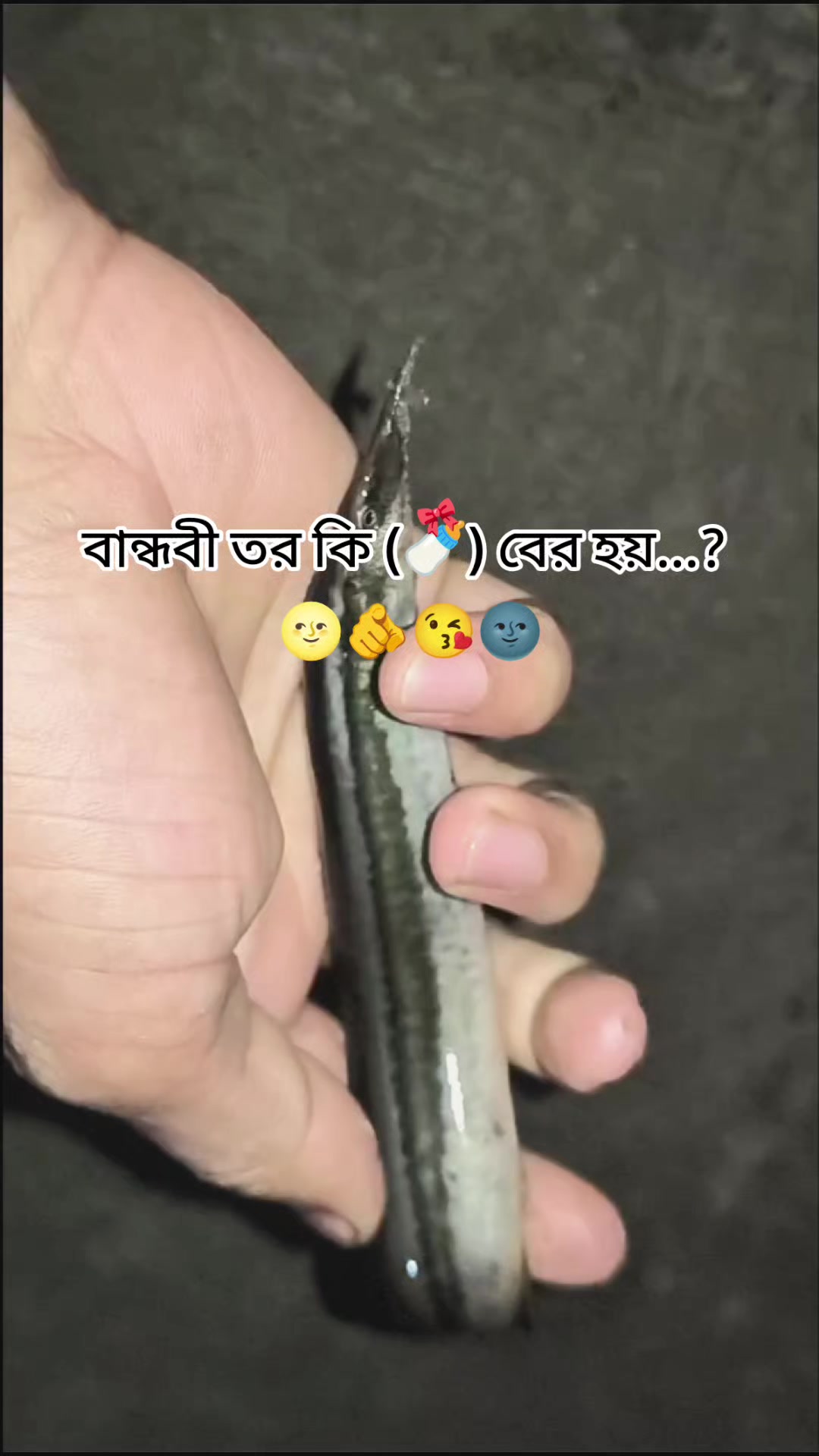 @(っ◔࿐🐸🫦দুষ্ট দাদু🫦🐸࿐(っ◔◡◔)っ
