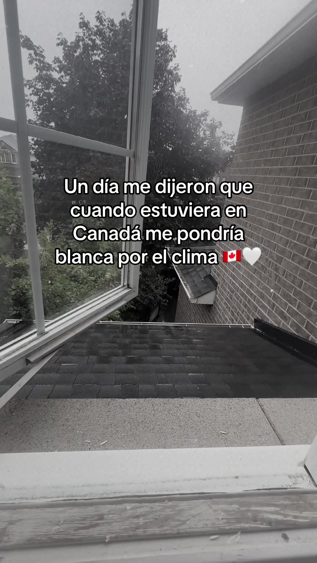 @Bea 💗🇨🇦