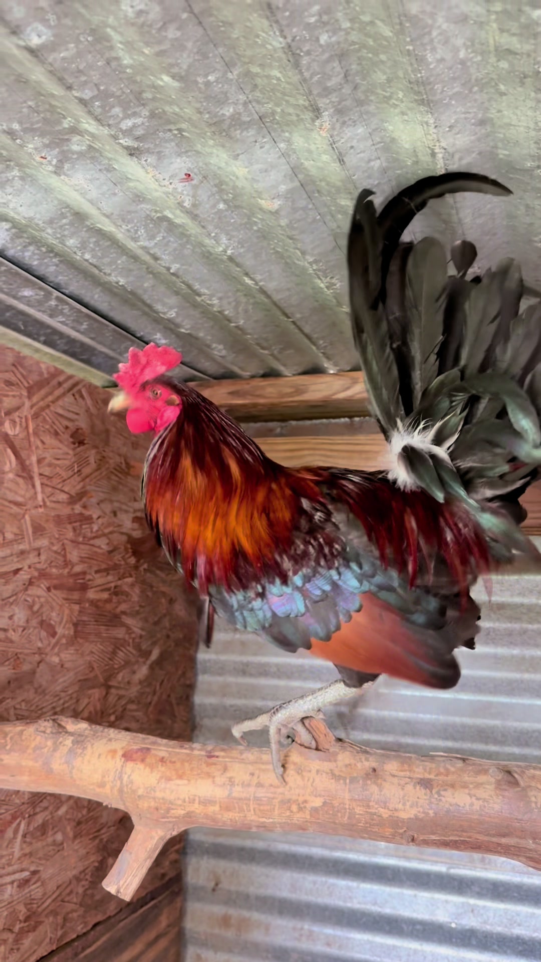 @Bryan Gamefarm
