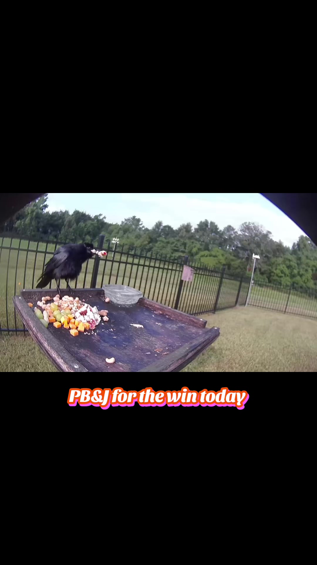 @Buffy_In_Louisiana