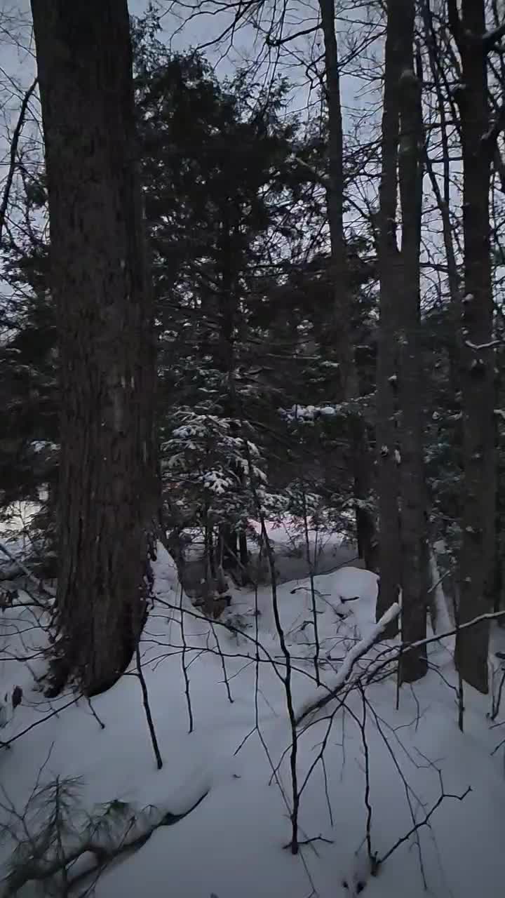 @LucasCottage