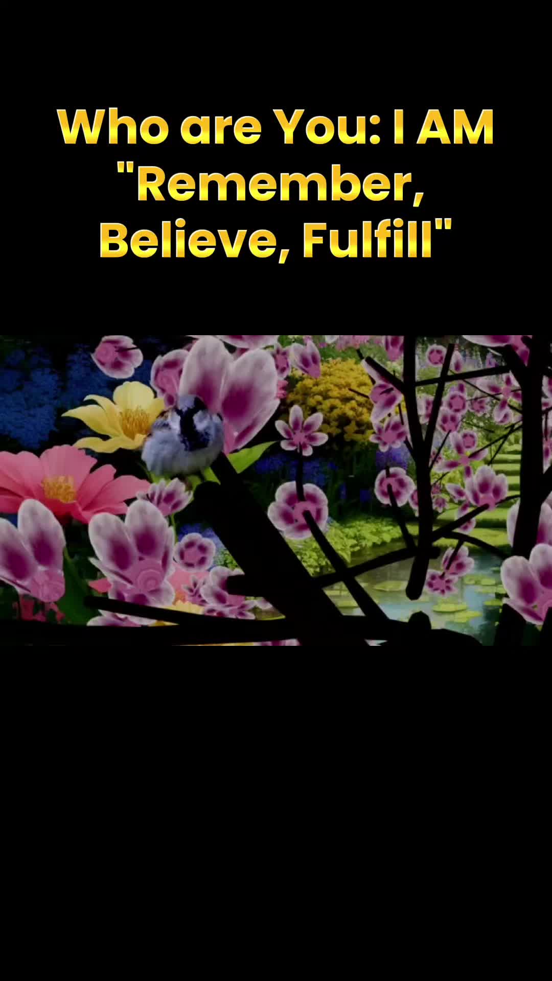 @Divinely Decoded