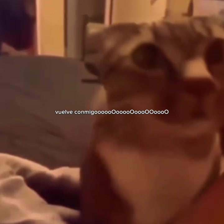 @𝒪𝓳𝓮𝓭𝓪𝓻𝓲𝓸