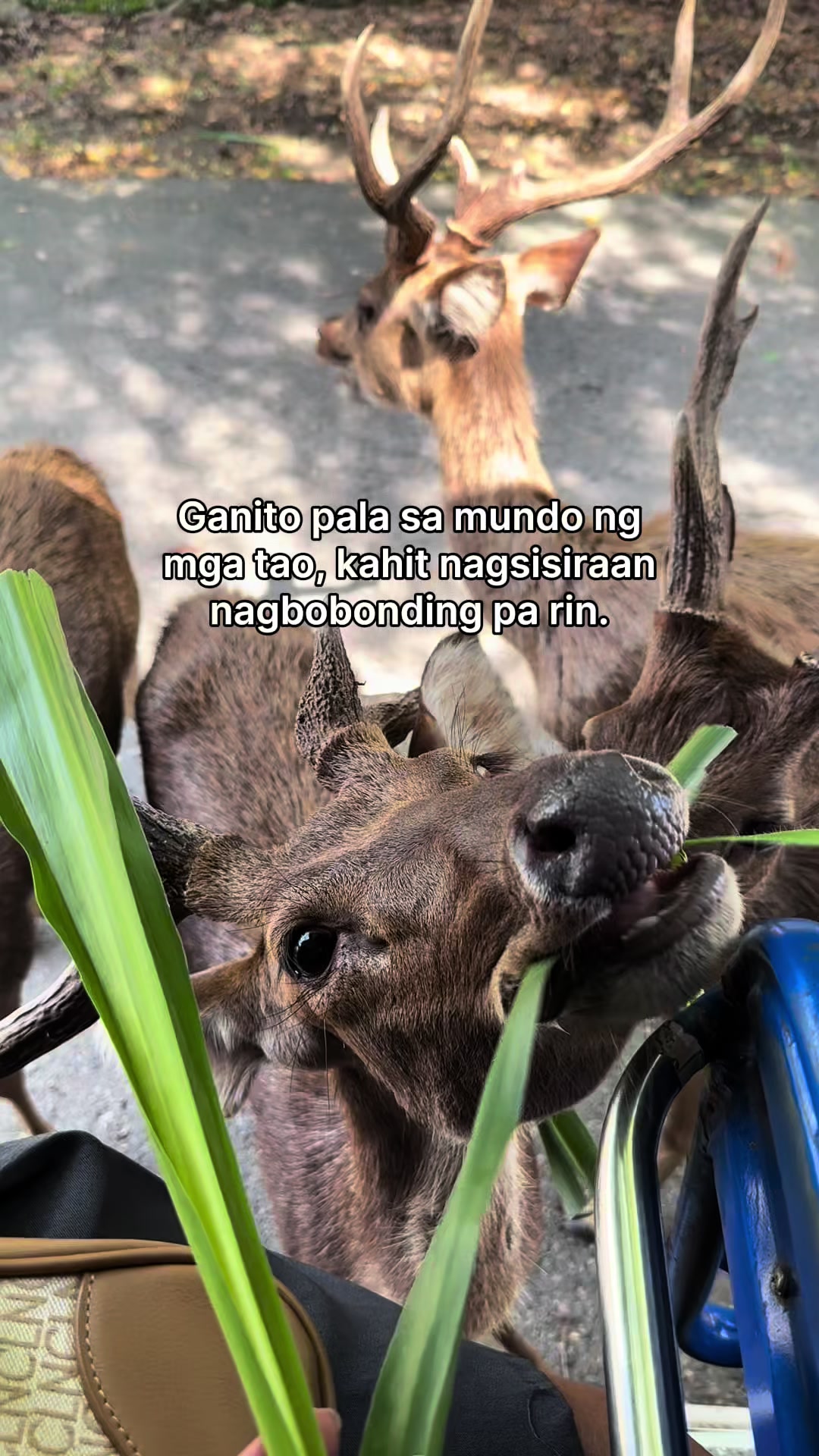 @Maria Abrilyanah