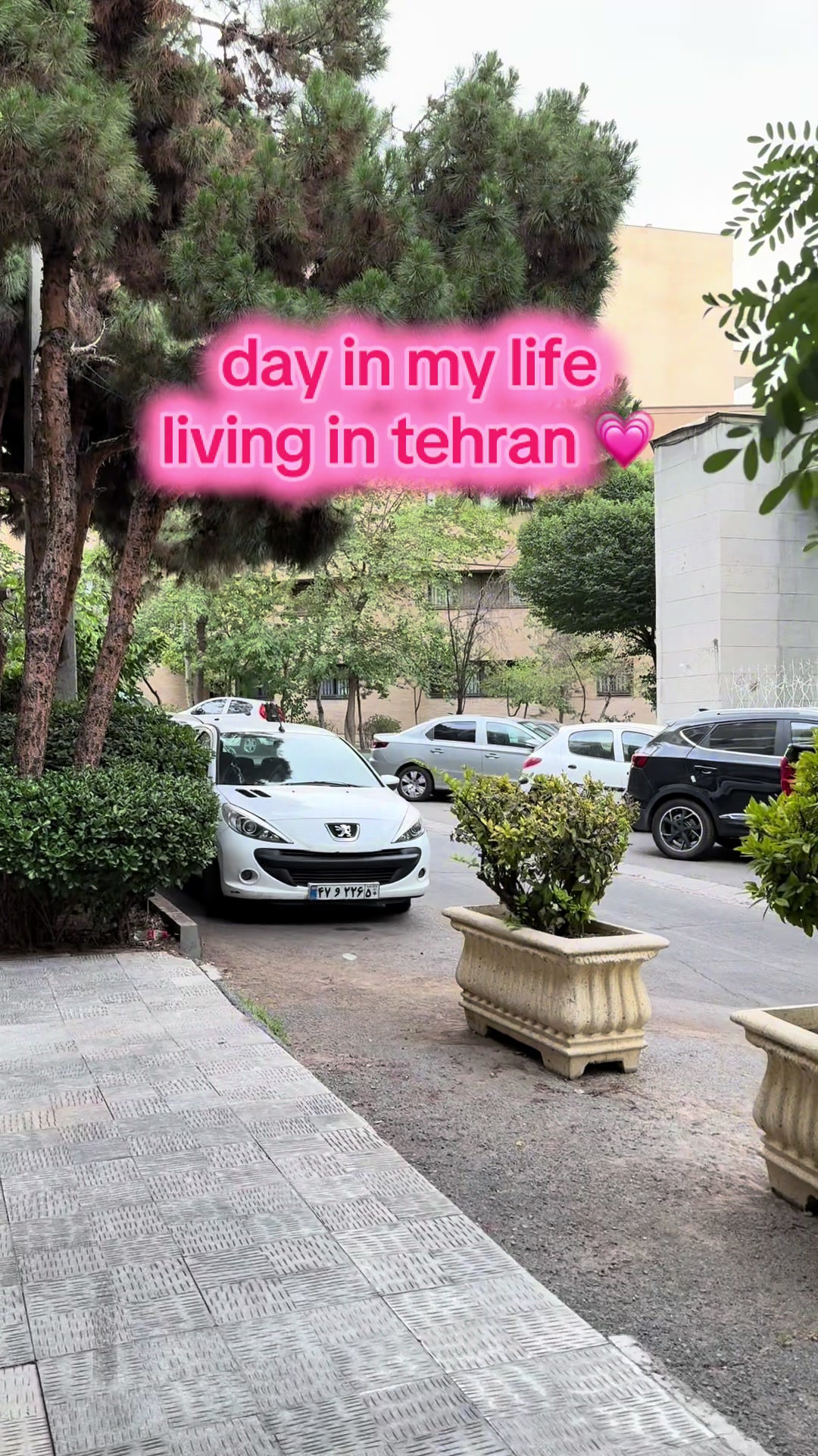 @iranibanger 🫀