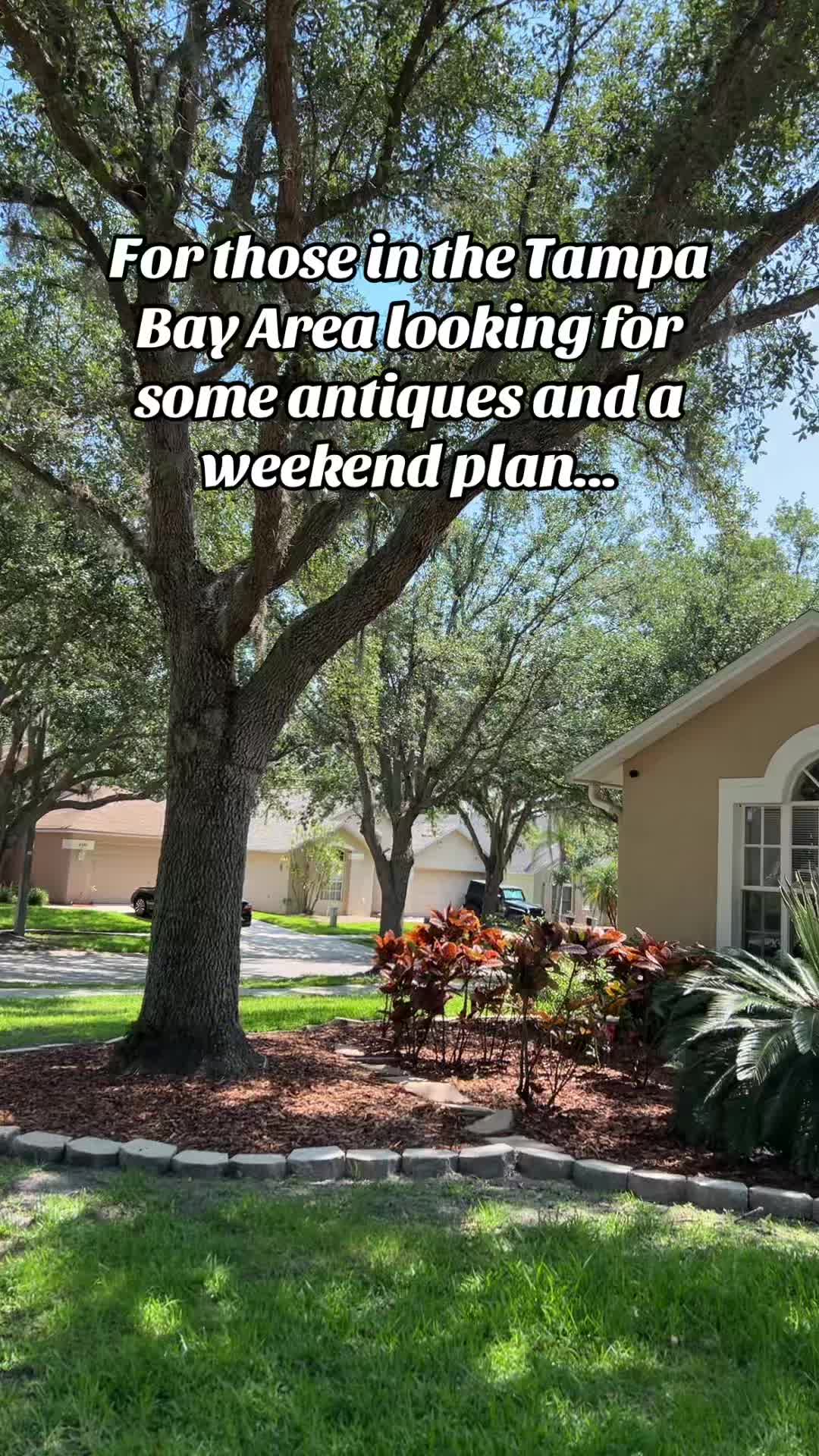 @caitsestatestampa
