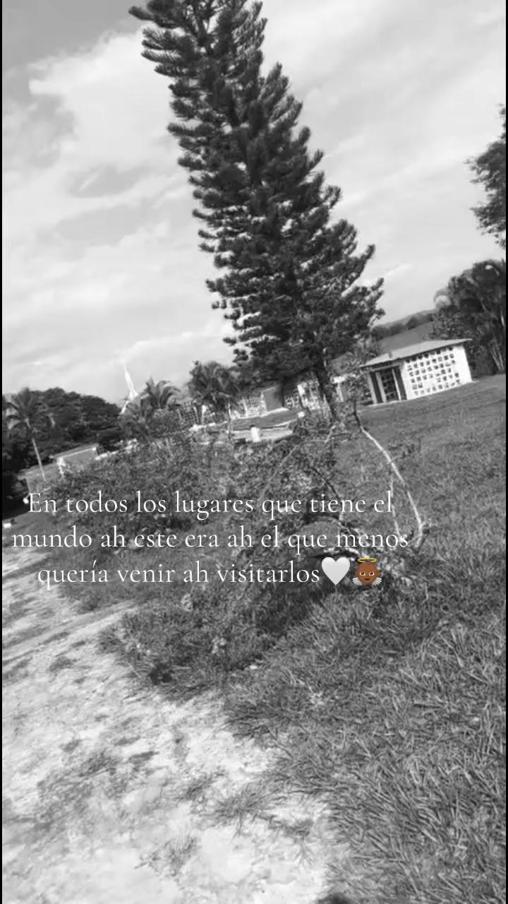 @Daniela Esquivel