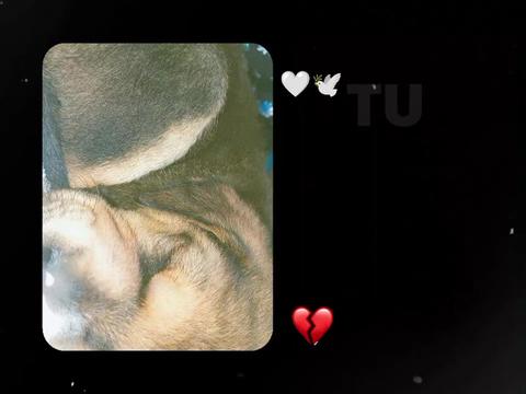 @✨domenica👤❤️🩹