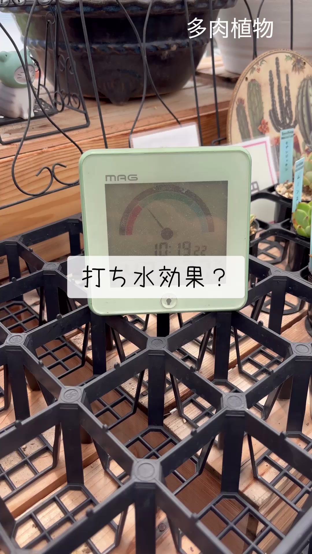 @さきゅまる~こぴとSHOP