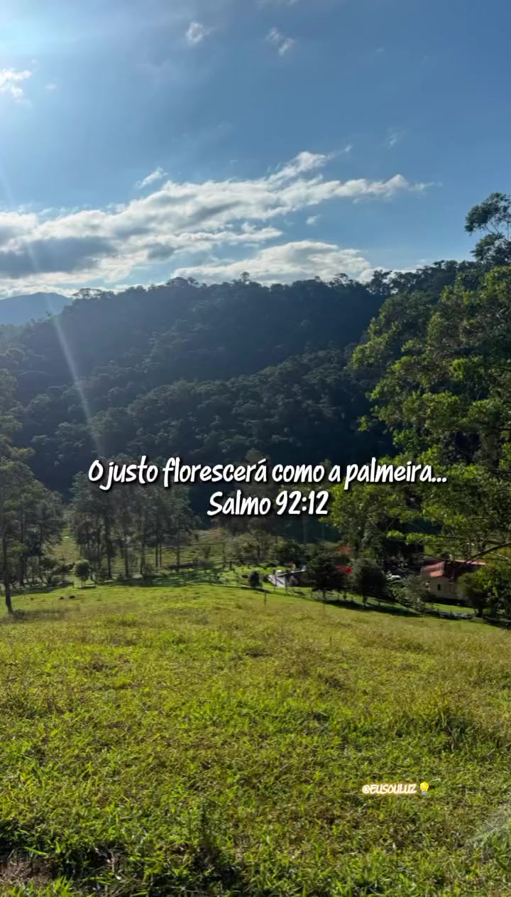 @Alessandra Ribeiro