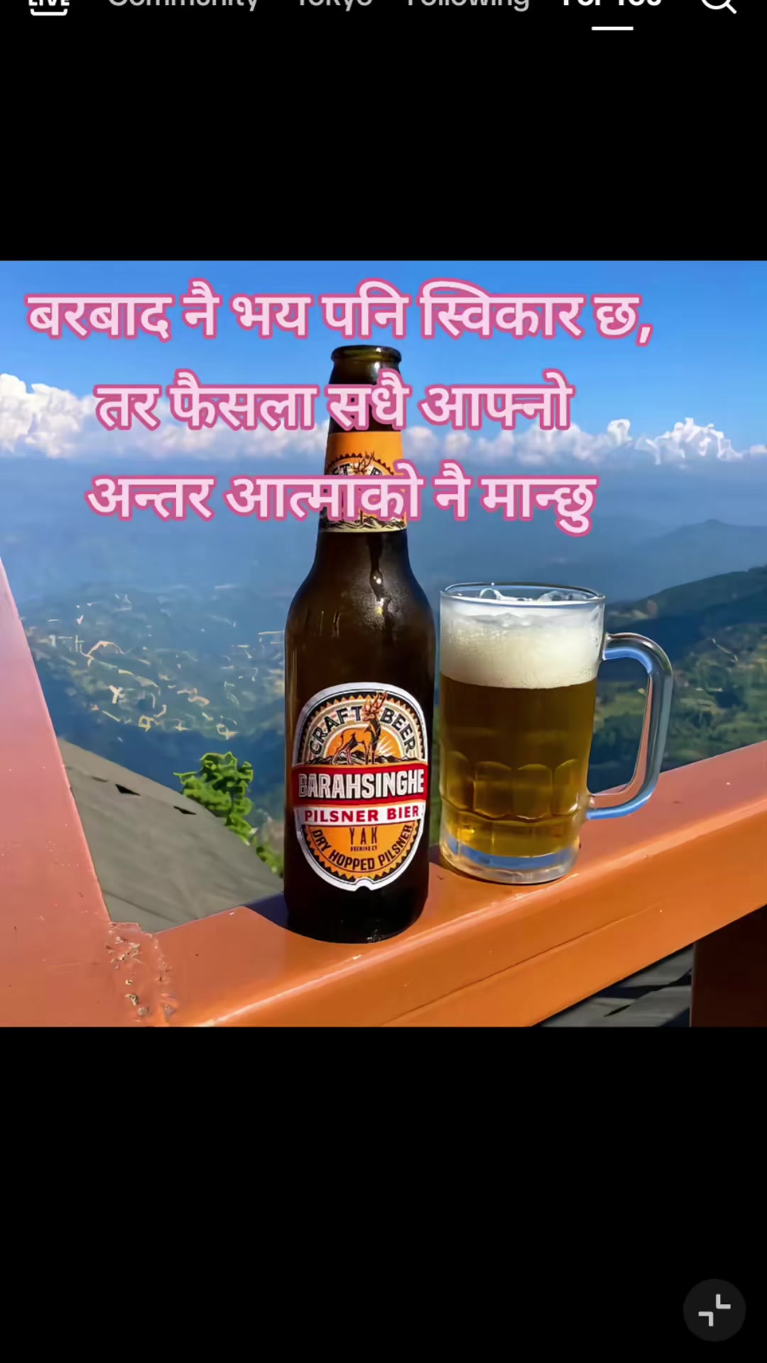 @sabina yogi