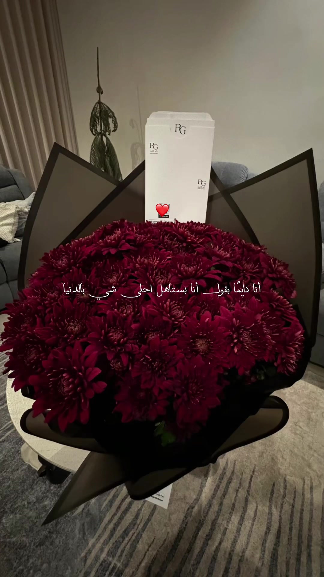 @ايّلُول 𓂆.