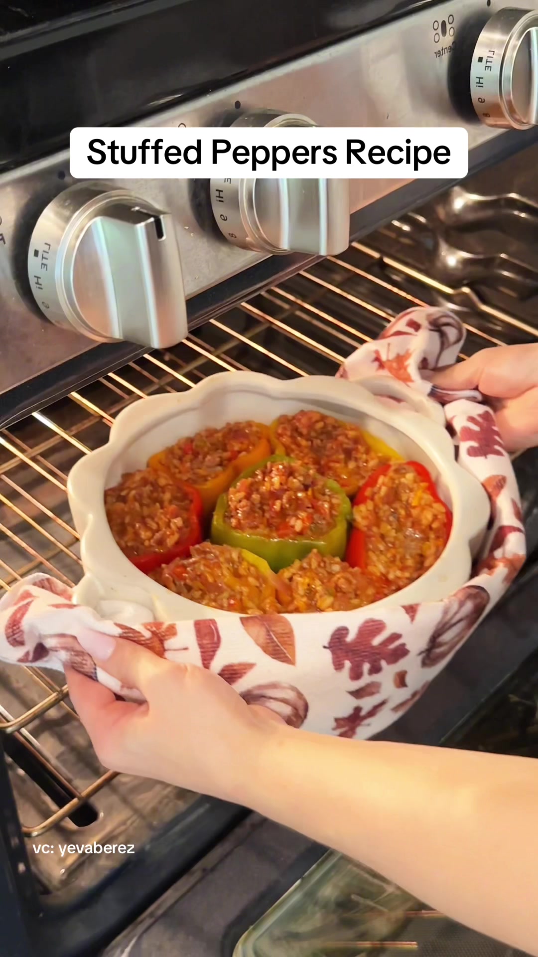 @The TikTok Cook Book