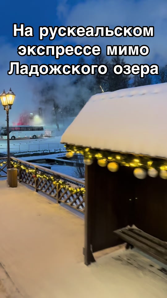 @_Inna_Vl_208