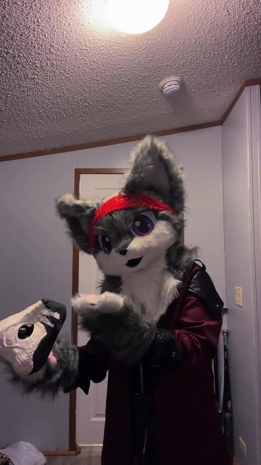 @karai_WolfDragon23