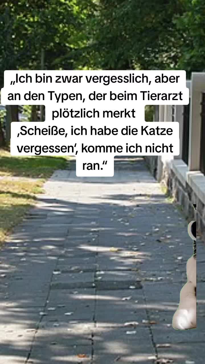 @Mel Angel
