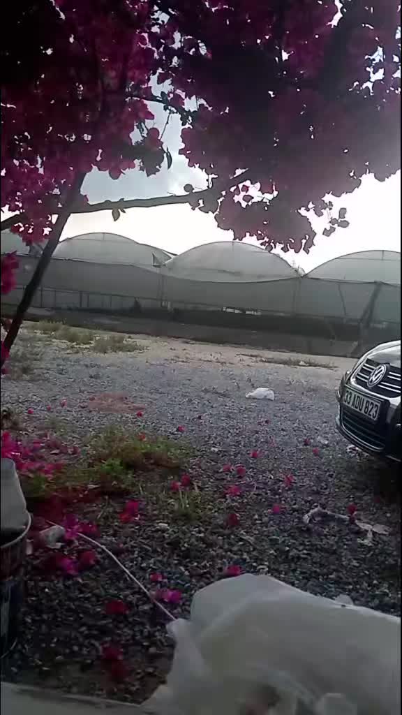 @Cengiz Akkurt