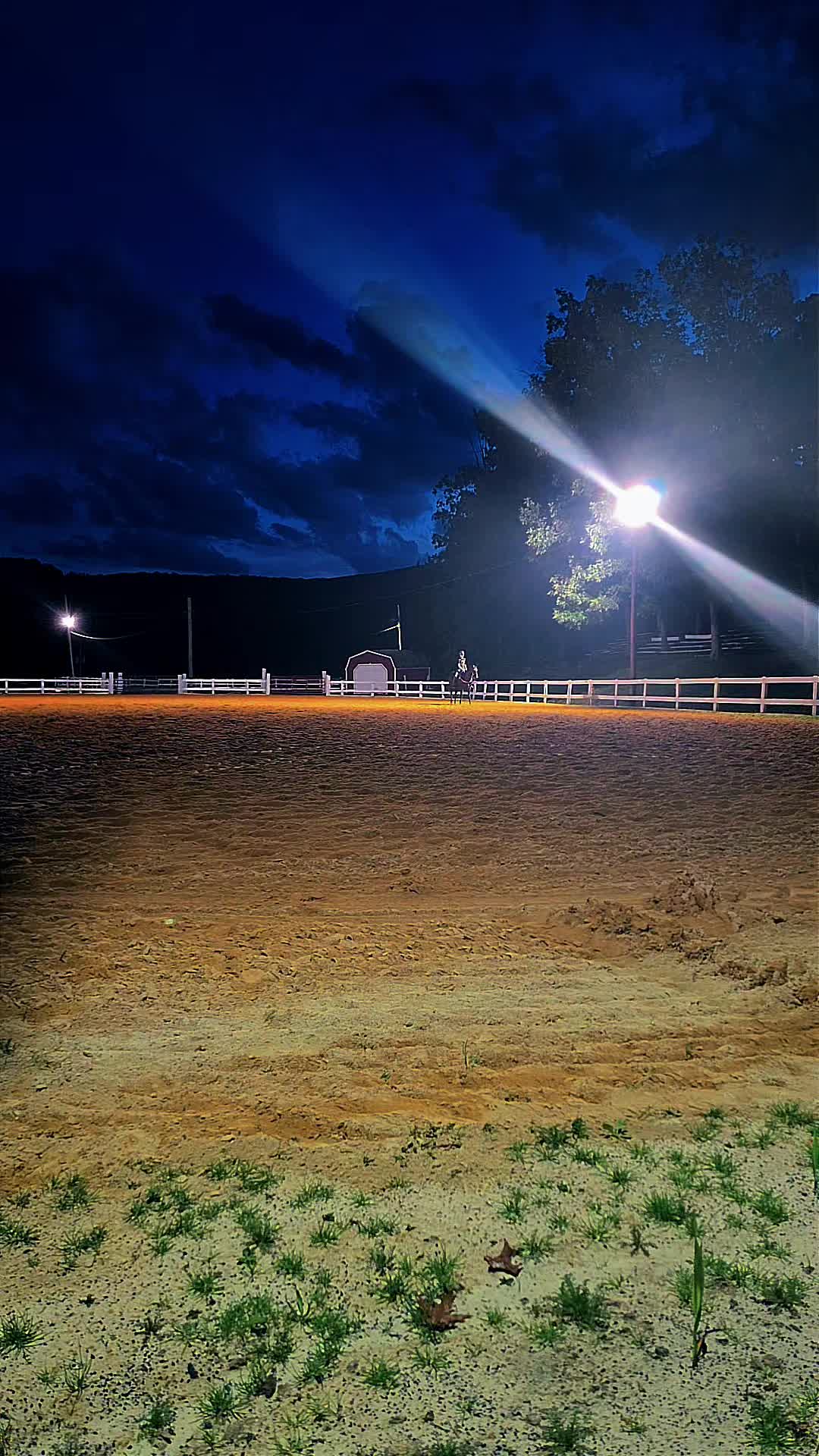 @TwinRoseRanch🌹🐎