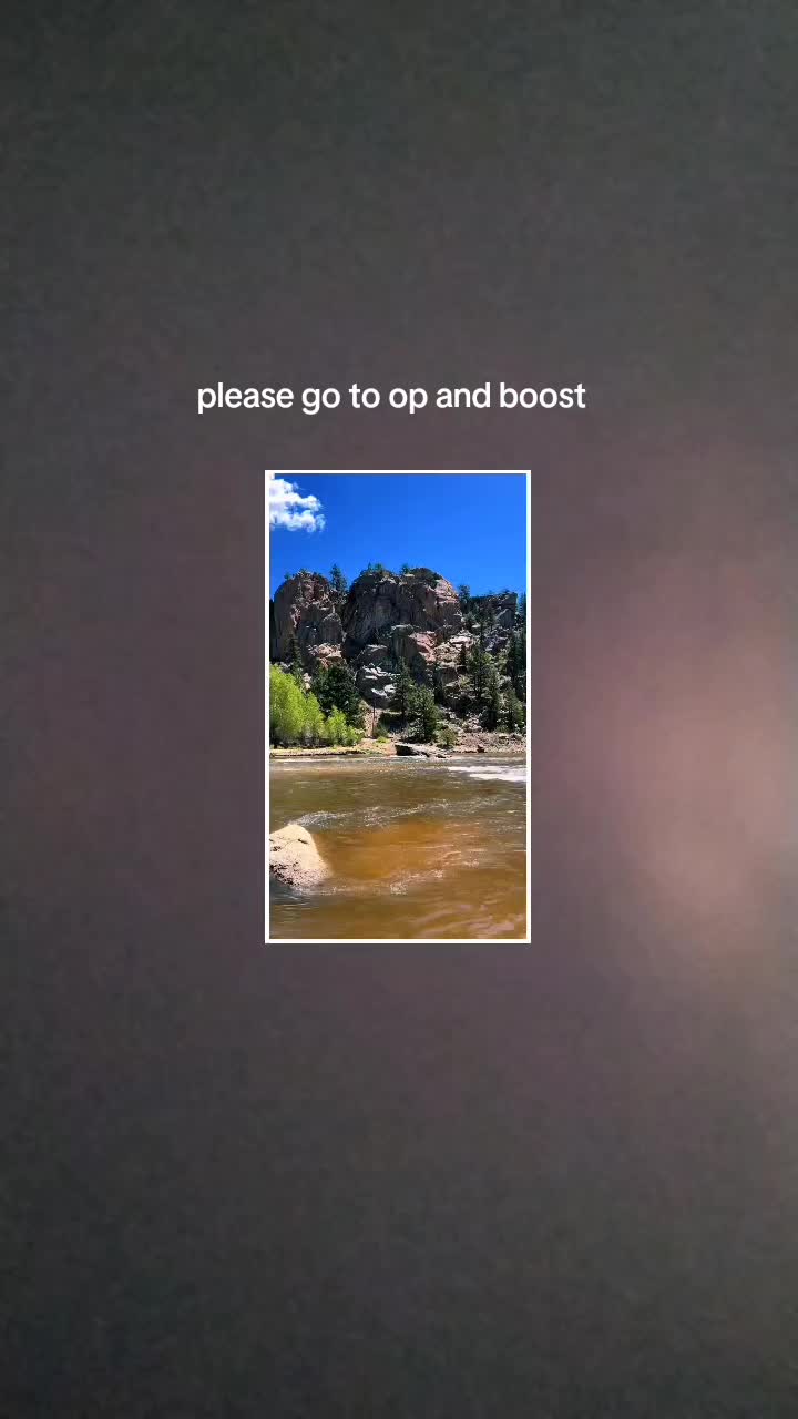 @chappydog75