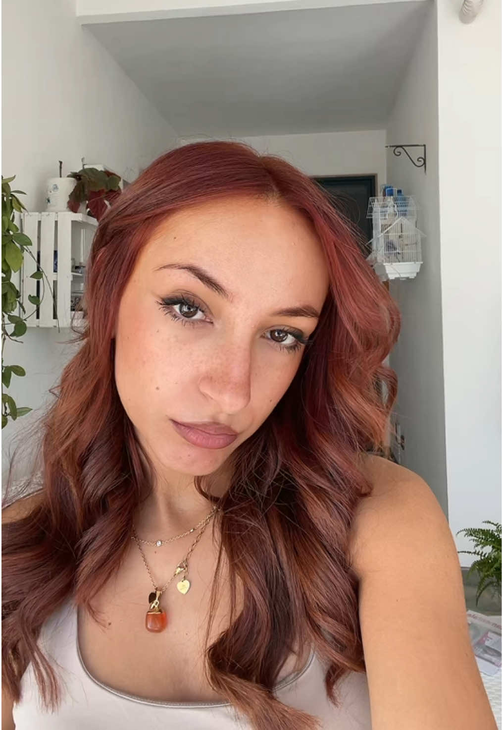 @vanessa