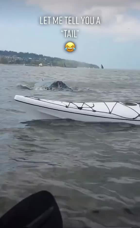 @Kayaking World