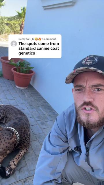 @deanthedogman1