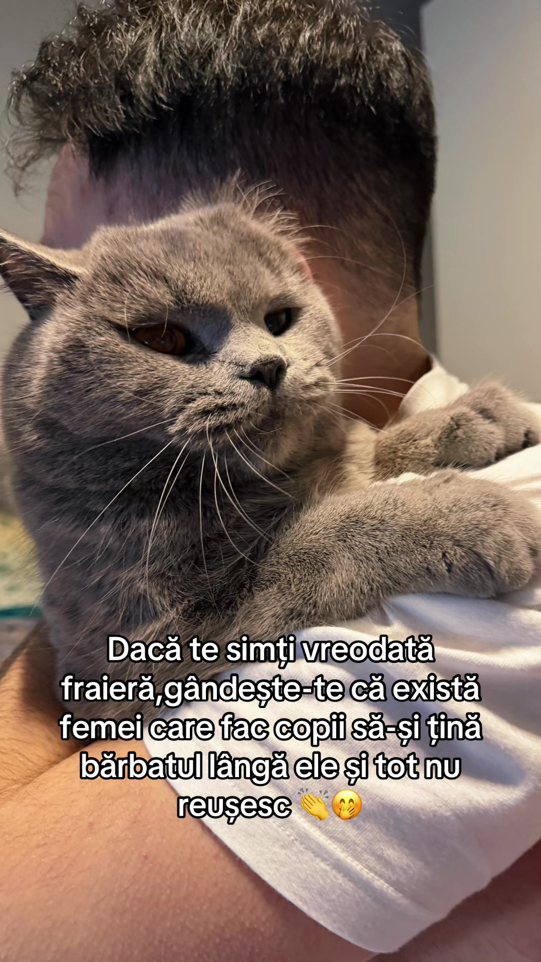 @Chișlea🇲🇩