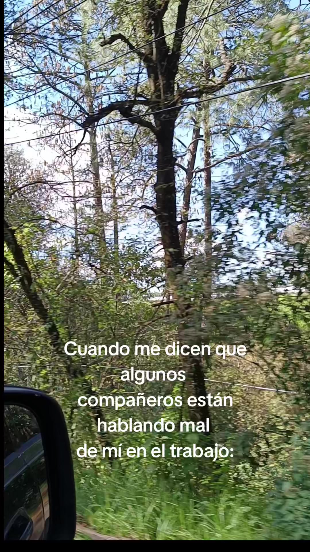 @Argelitha ✨🙌👑
