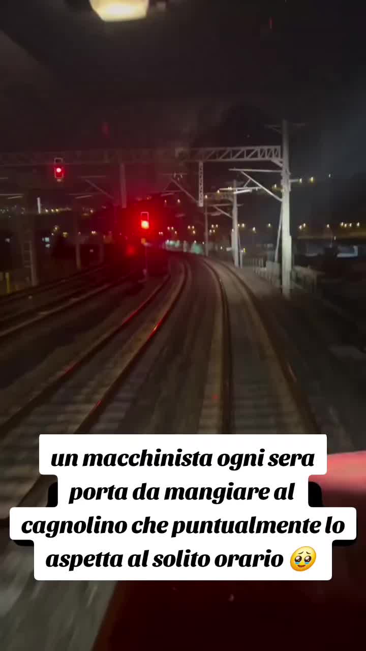 @fabio🥰
