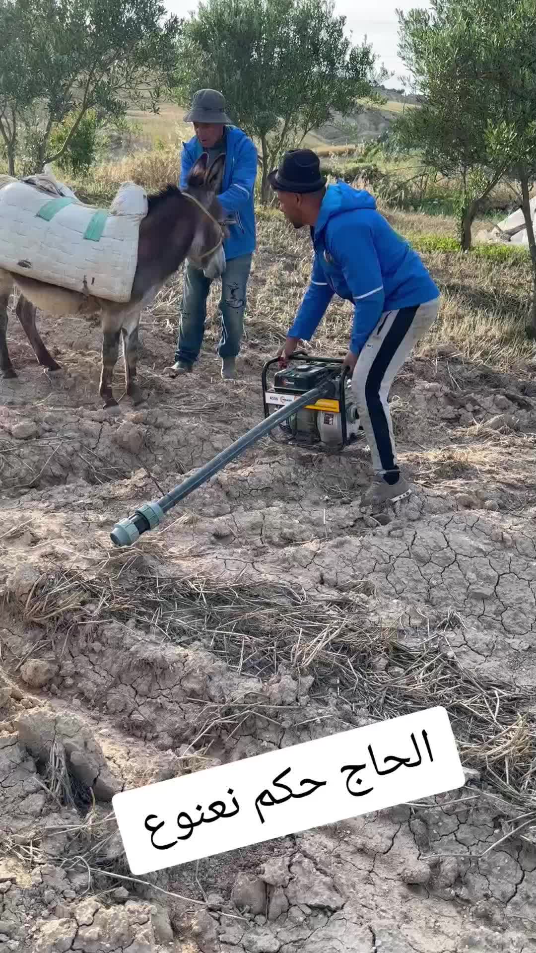 @الحاج نعنوع