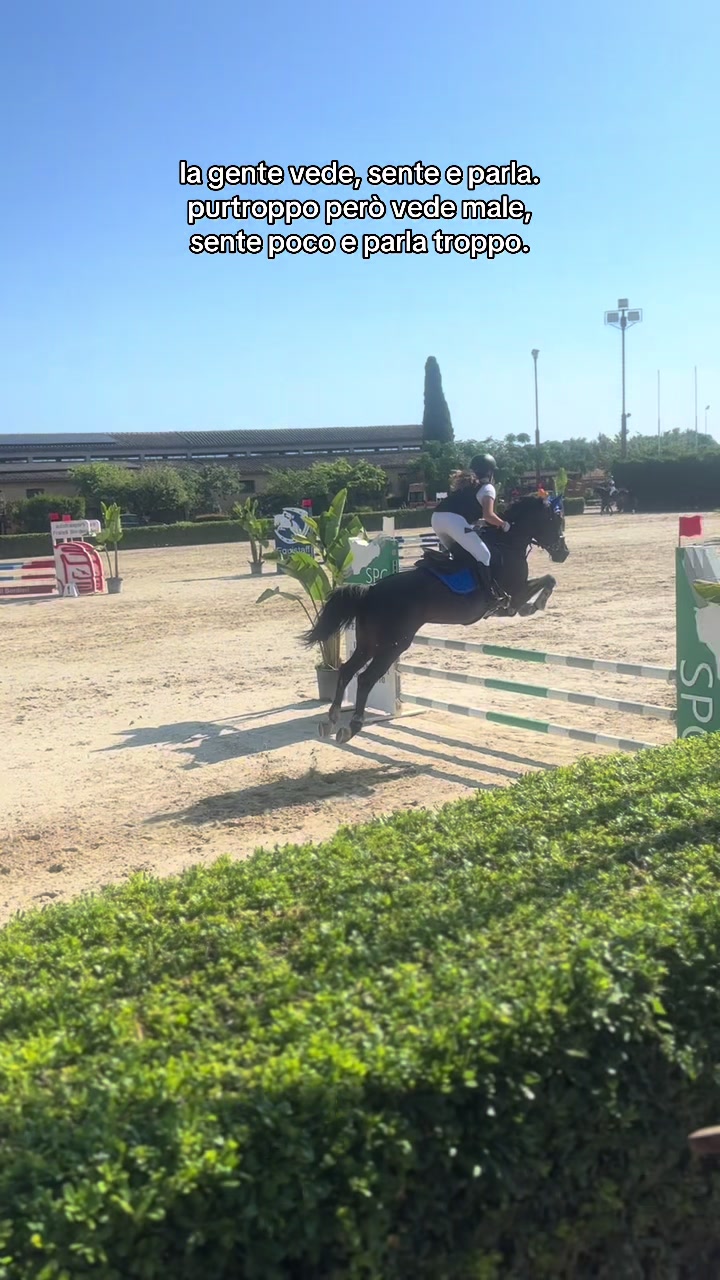 @isa_pullo🩶🐴