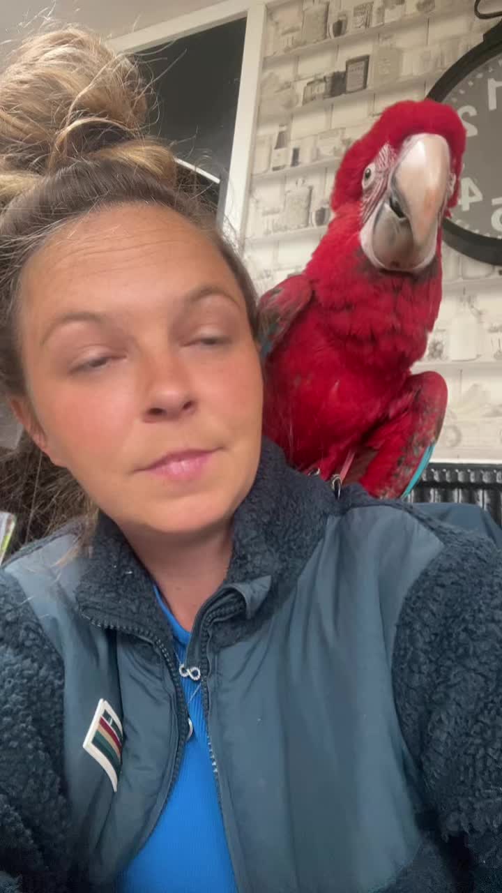 @Mum-KellyOfMargo