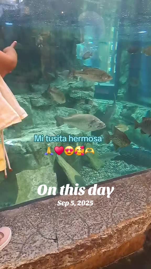 @🦀Ene,bonita 🐬🥰🇲🇽