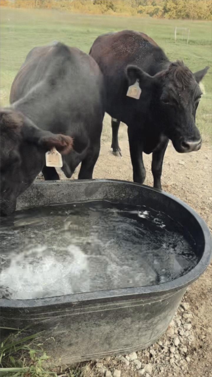 @Sami • LDH Farmstead