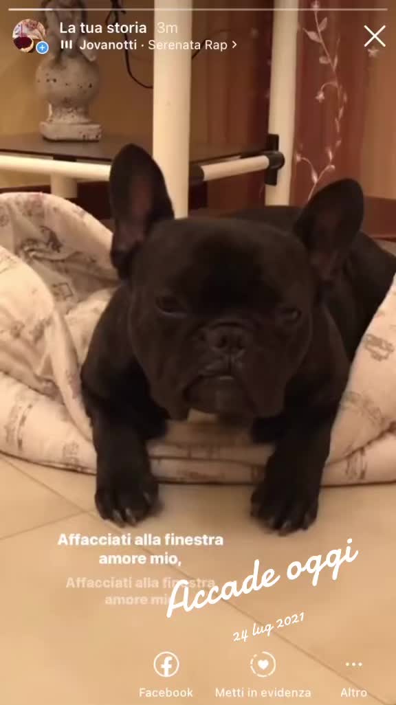 @Apolide