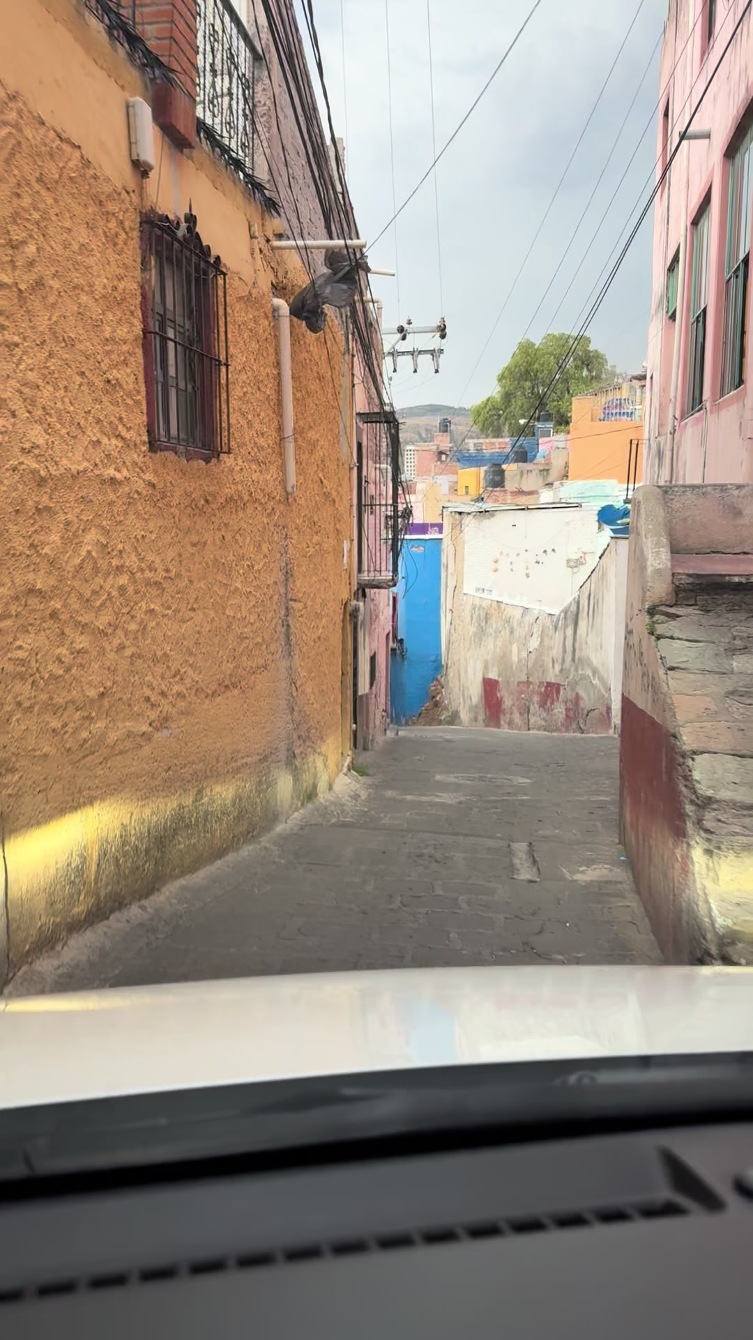 @VictoursGuanajuato