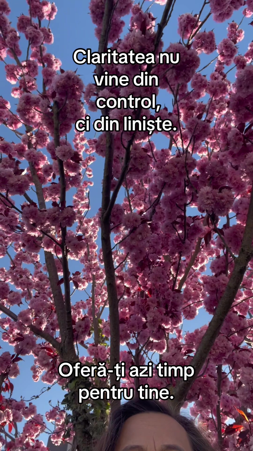 @Angela54
