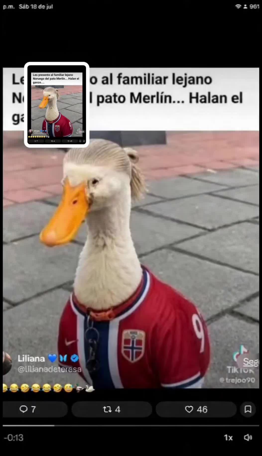 @picadientes de caborca